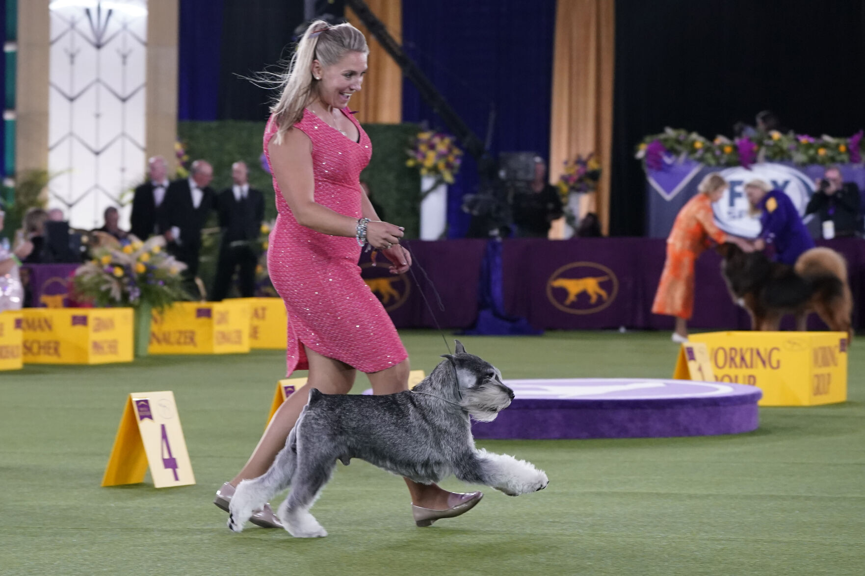 Westminster Dog Show